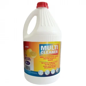 CLOR GEL SANO MULTI CLEANER 4L